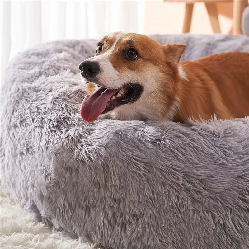 Cama Nuvem Redonda Super Macia para Animais - Cães e Gatos